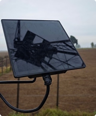 Foto de los servicios